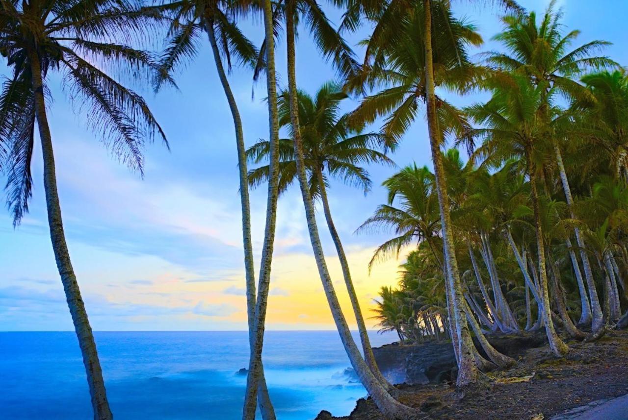 Ocean View Mauna Loa Shores Kai Ekahi #201 Next To Carlsmith Beach Park Hilo Hi Ngoại thất bức ảnh