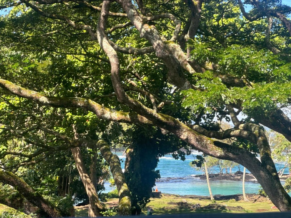 Ocean View Mauna Loa Shores Kai Ekahi #201 Next To Carlsmith Beach Park Hilo Hi Ngoại thất bức ảnh