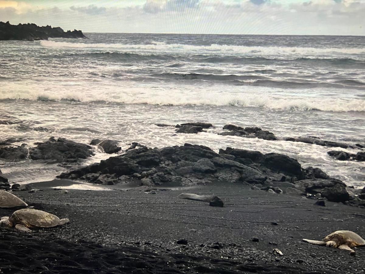 Ocean View Mauna Loa Shores Kai Ekahi #201 Next To Carlsmith Beach Park Hilo Hi Ngoại thất bức ảnh