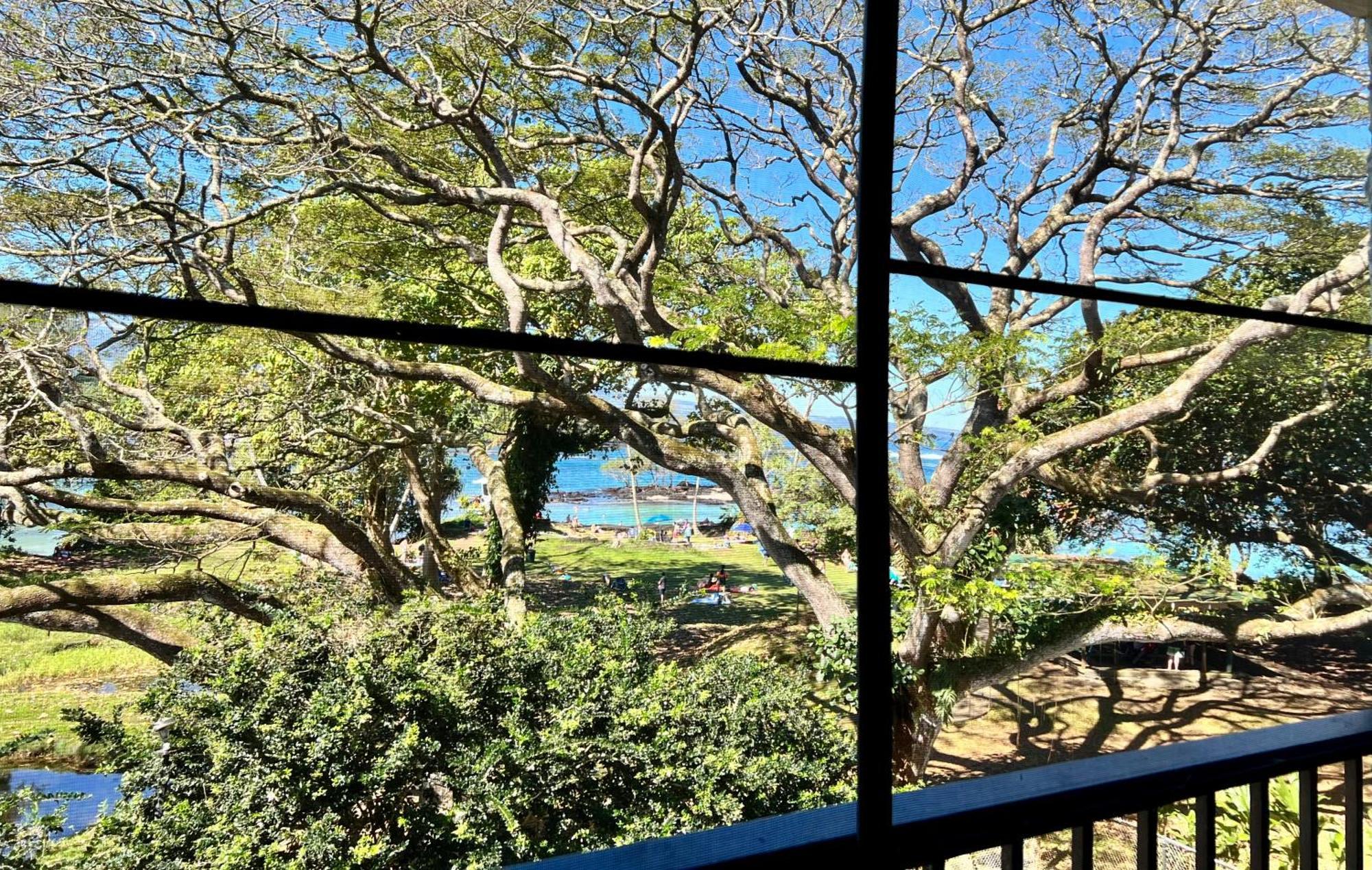 Ocean View Mauna Loa Shores Kai Ekahi #201 Next To Carlsmith Beach Park Hilo Hi Ngoại thất bức ảnh